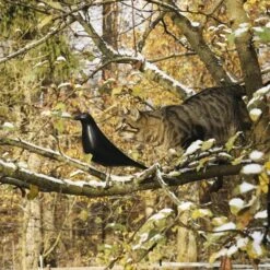 Vitra Eames House Bird, Noir -Ménagers Décoration Boutique 14Vitra iso