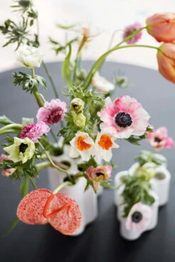 Vitra Grand Vase Nuage Céramique 9 Vitra Grand Vase Nuage Céramique -Ménagers Décoration Boutique 2576298 Nuage Vase C ramique master