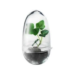 Design House Stockholm Mini Serre Grow, S