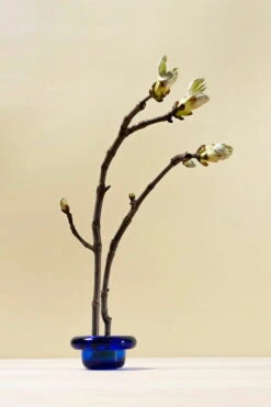 Nedre Foss Bougeoir Pour Bougie Chauffe-plat Sirkel, Bleu Cobalt -Ménagers Décoration Boutique AG7Xp5Sg