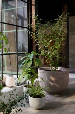 &Tradition Pot De Fleurs Collect SC71, 24 x 18 cm, Lait 9 &Tradition Pot De Fleurs Collect SC71, 24 x 18 cm, Lait -Ménagers Décoration Boutique ATD 2021 Retail Collect Planter SC43 SC71 SC72 Lucca SC51 1