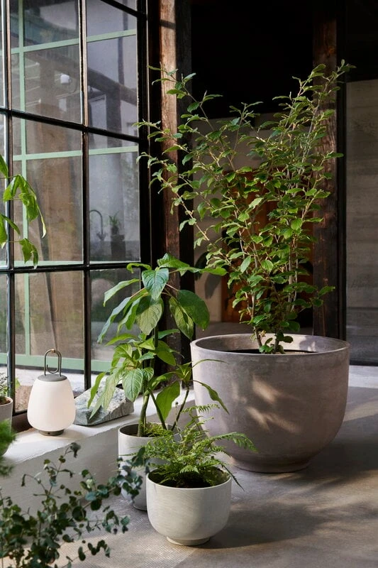 &Tradition Pot De Fleurs Collect SC71, 24 x 18 cm, Lait 4 &Tradition Pot De Fleurs Collect SC71, 24 x 18 cm, Lait – Image 4