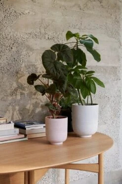 &Tradition Pot De Fleurs Collect SC70, 15 X 18 cm, Sienna -Ménagers Décoration Boutique ATD 2021 Retail Collect Planter SC70SC72 Drop Leaf HM6