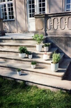 &Tradition Pot De Fleurs Collect SC70, 15 X 18 cm, Sauge 5 &Tradition Pot De Fleurs Collect SC70, 15 X 18 cm, Sauge -Ménagers Décoration Boutique ATD 2022 Outdoor Mero Collect Palnter SC69 SC72 Lucca SC51 1