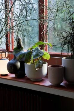 &Tradition Pot De Fleurs Collect SC71, 24 X 18 cm, Argenté 8 &Tradition Pot De Fleurs Collect SC71, 24 X 18 cm, Argenté -Ménagers Décoration Boutique ATD Retail 2021 Collect Planter SC70 72 Lucca SC51 1