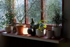 &Tradition Pot De Fleurs Collect SC72, 20 X 24 cm, Argenté -Ménagers Décoration Boutique ATD Retail 2021 Collect nbspPlanter SC70 SC72 Lucca SC51 Collect Vase SC37 1