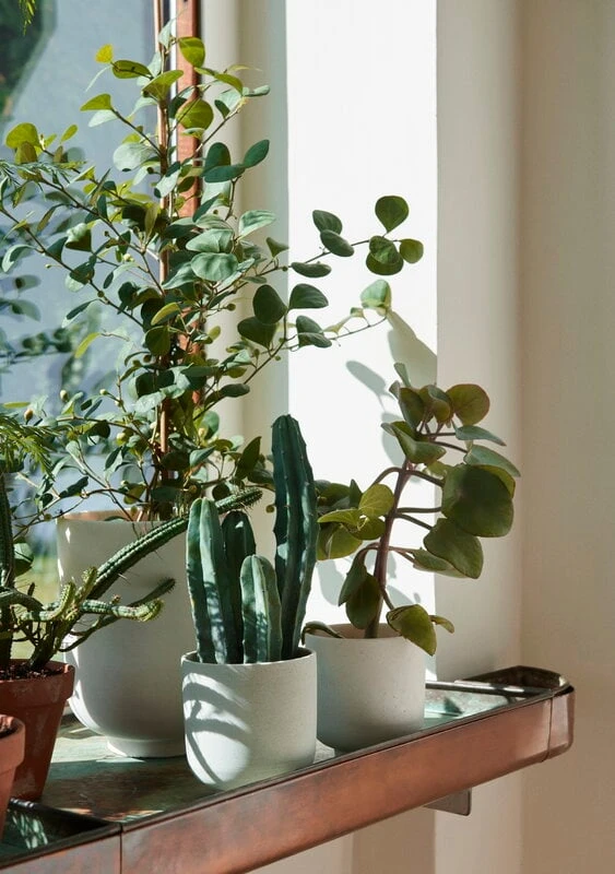 &Tradition Pot De Fleurs Collect SC71, 24 x 18 cm, Lait 3 &Tradition Pot De Fleurs Collect SC71, 24 x 18 cm, Lait – Image 3