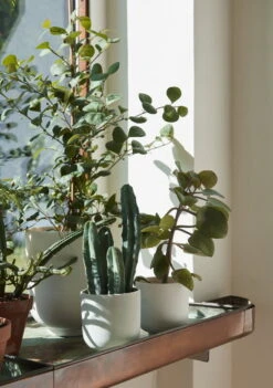 &Tradition Pot De Fleurs Collect SC69, 12 x 13 cm, Lait -Ménagers Décoration Boutique ATD Retail 2022 Collect Planter SC69 SC72