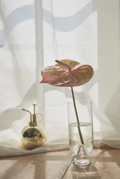 AYTM Brumisateur Pour Plantes Globe, Doré -Ménagers Décoration Boutique AYTM D2 08 269