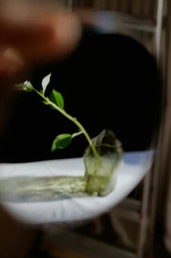 New Works Petit Vase Blæhr, Vert Fumé 8 New Works Petit Vase Blæhr, Vert Fumé -Ménagers Décoration Boutique Blaehr Vase Digital Images Shot by Armin Tehrani 15