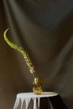 New Works Petit Vase Blæhr, Ambre -Ménagers Décoration Boutique Blaehr Vase Digital Images Shot by Armin Tehrani 21