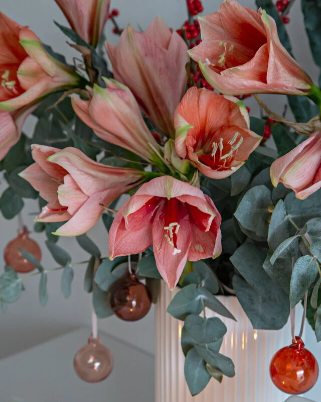 Iittala Coffret De 5 boules En Verre, 40 mm, Rouge 3 Iittala Coffret De 5 boules En Verre, 40 mm, Rouge – Image 3