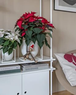 By Lassen Pot De Fleurs Kubus 14, Blanc -Ménagers Décoration Boutique Christmas Mood 2