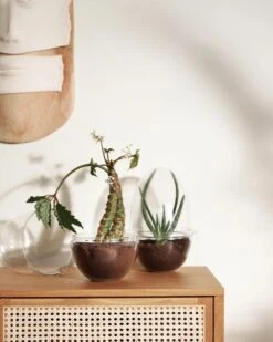 Design House Stockholm Mini-serre Grow, L -Ménagers Décoration Boutique DHS lifestyleimage 16