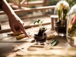 Design House Stockholm Mini Serre Grow, S -Ménagers Décoration Boutique DHS lifestyleimage 17