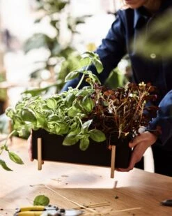 Design House Stockholm Jardinière Botanic -Ménagers Décoration Boutique DHS lifestyleimage 5