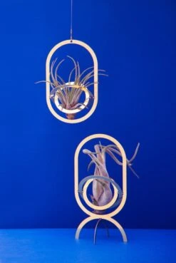 Fundamental Berlin Porte-plantes Air Trophy, Laiton -Ménagers Décoration Boutique FUAIR TRO blue 1