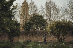 Fiskars Coupe-branches Télescopique PowerGearX UPX86 -Ménagers Décoration Boutique Fiskars Garden Action PowerGearX Tree pruner UPX82 UPX86 3 copy