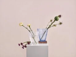 Iittala Vase Kastehelmi 154 mm, Transparent -Ménagers Décoration Boutique Iiittala 2018 Kastehelmi vase group
