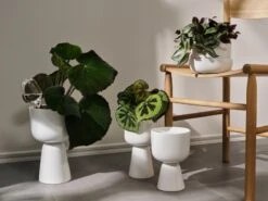 Iittala 2 bulles D’arrosage Iittala -Ménagers Décoration Boutique Iittala 2021 Nappula 05