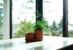 Elementa Ensemble De Pots Klorofyll, Terracotta 9 Elementa Ensemble De Pots Klorofyll, Terracotta -Ménagers Décoration Boutique KLset1 1800 2