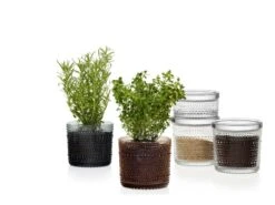 Iittala Pot Kastehelmi 116 X 114 mm, Transparent -Ménagers Décoration Boutique Kastehelmijargreydesertcleargroup 2 1