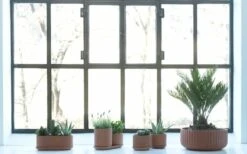 Elementa Ensemble De Pots Klorofyll, Terracotta 7 Elementa Ensemble De Pots Klorofyll, Terracotta -Ménagers Décoration Boutique KlorofyllterracottabyAnderssenVoll 1