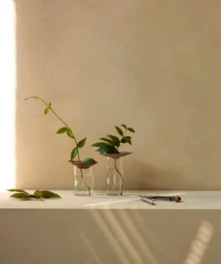 MENU Vase Cresco Propagation, Lot De 2 -Ménagers Décoration Boutique MENU Cresco Propagation Set 2