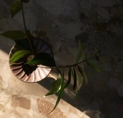 MENU Vase Cresco Propagation, Lot De 2 -Ménagers Décoration Boutique MENU Cresco Propagation Set 3