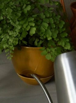 MENU Jardinière Hydrous, 12 cm, Ocre -Ménagers Décoration Boutique MENU Hydrous Planter Hydrous Watering Can 5