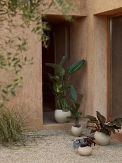 MENU Jardinière Plantas, 24 cm, Ivoire -Ménagers Décoration Boutique MENU LS Plantas Planters