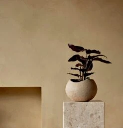 MENU Jardinière Plantas, 17 cm, Ivoire -Ménagers Décoration Boutique MENU Plantas Plante Plinth Pedestal 2023