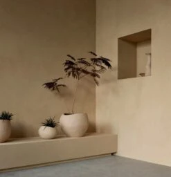 MENU Jardinière Plantas, 17 cm, Ivoire -Ménagers Décoration Boutique MENU Plantas Planter 2 2023