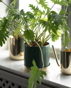 Skultuna Arrosoir Nurture, Laiton 11 Skultuna Arrosoir Nurture, Laiton -Ménagers Décoration Boutique Nurture by Ilse Crawford 28929