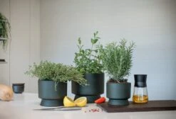 Rosendahl Pot De Fleurs, 12 cm, Vert -Ménagers Décoration Boutique ROS 20620 20622 RO Flowerpots in kitchen setting 02 300dpi 1