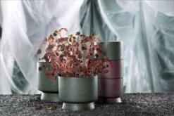 Rosendahl Pot De Fleurs, 15 cm, Vert -Ménagers Décoration Boutique ROS 20640 20621 20622 Flowerpots five one w plant