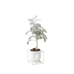 By Lassen Pot De Fleurs Kubus 10, Blanc -Ménagers Décoration Boutique byLassen Kubus Flowerpot 10 white plant 300