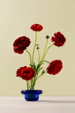 Nedre Foss Bougeoir Pour Bougie Chauffe-plat Sirkel, Bleu Cobalt -Ménagers Décoration Boutique nI897iHw